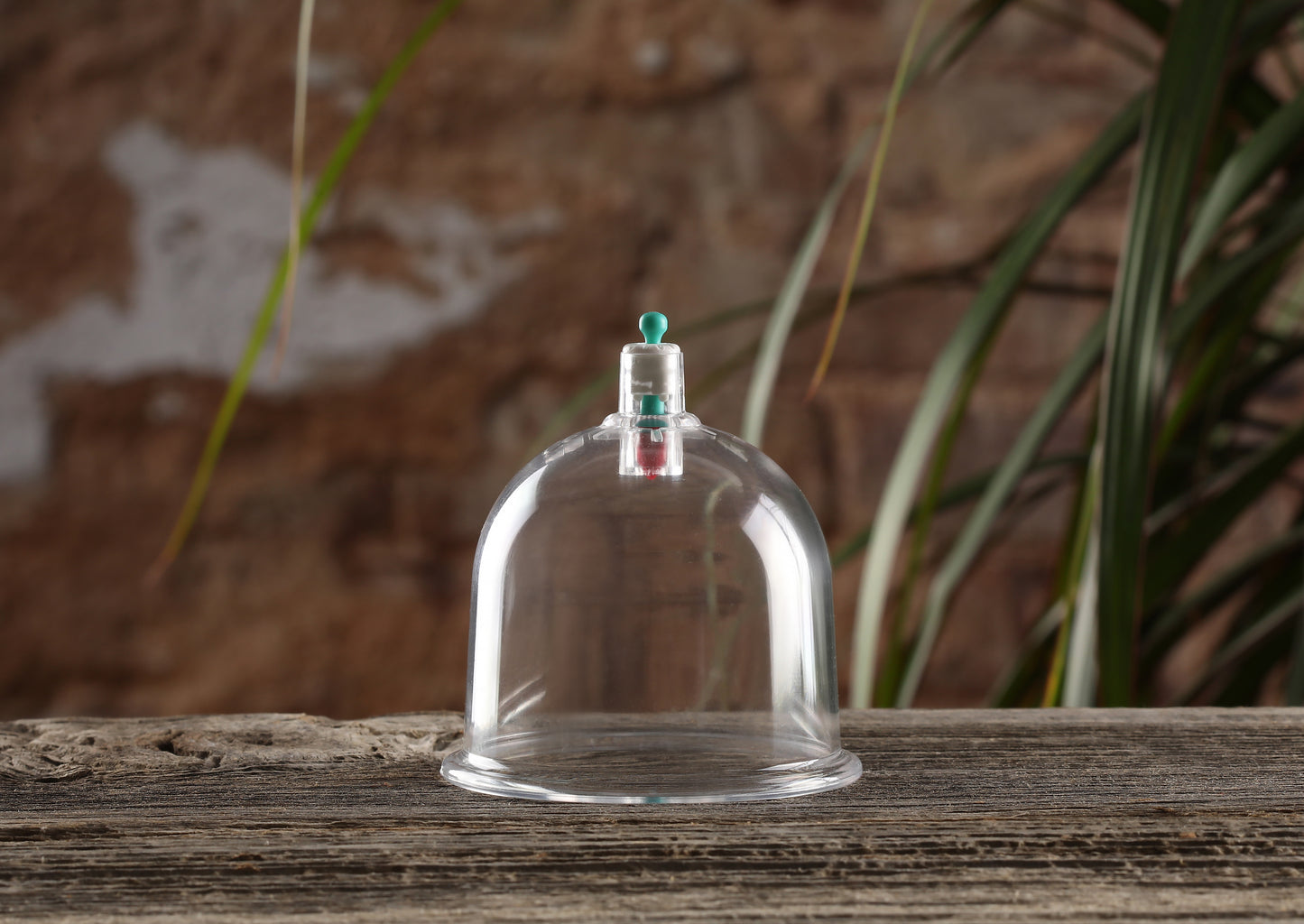 Hijama/Cupping Cups - 50 pcs - B1 (7 cm) - Premium